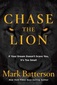 chase-the-lion