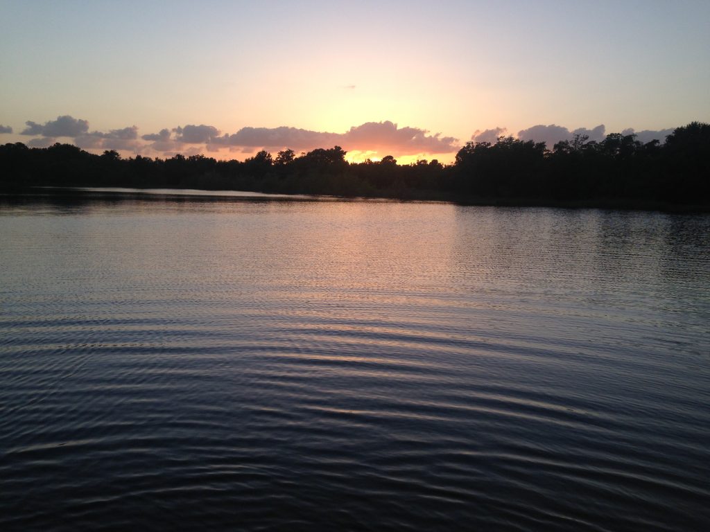 Paw Print Lake